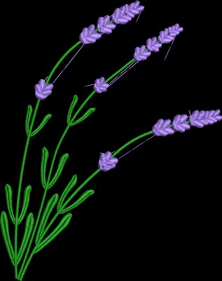 Lavender Right